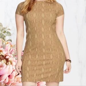 Lauren Ralph Lauren Tan Snake Print Short Sleeve Shift Dress Size L